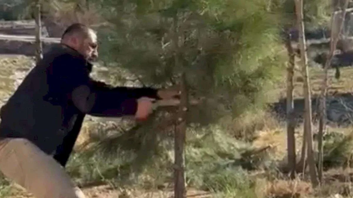 Mardin Artuklu'da muhtar kendi elleriyle ağaçları budadı