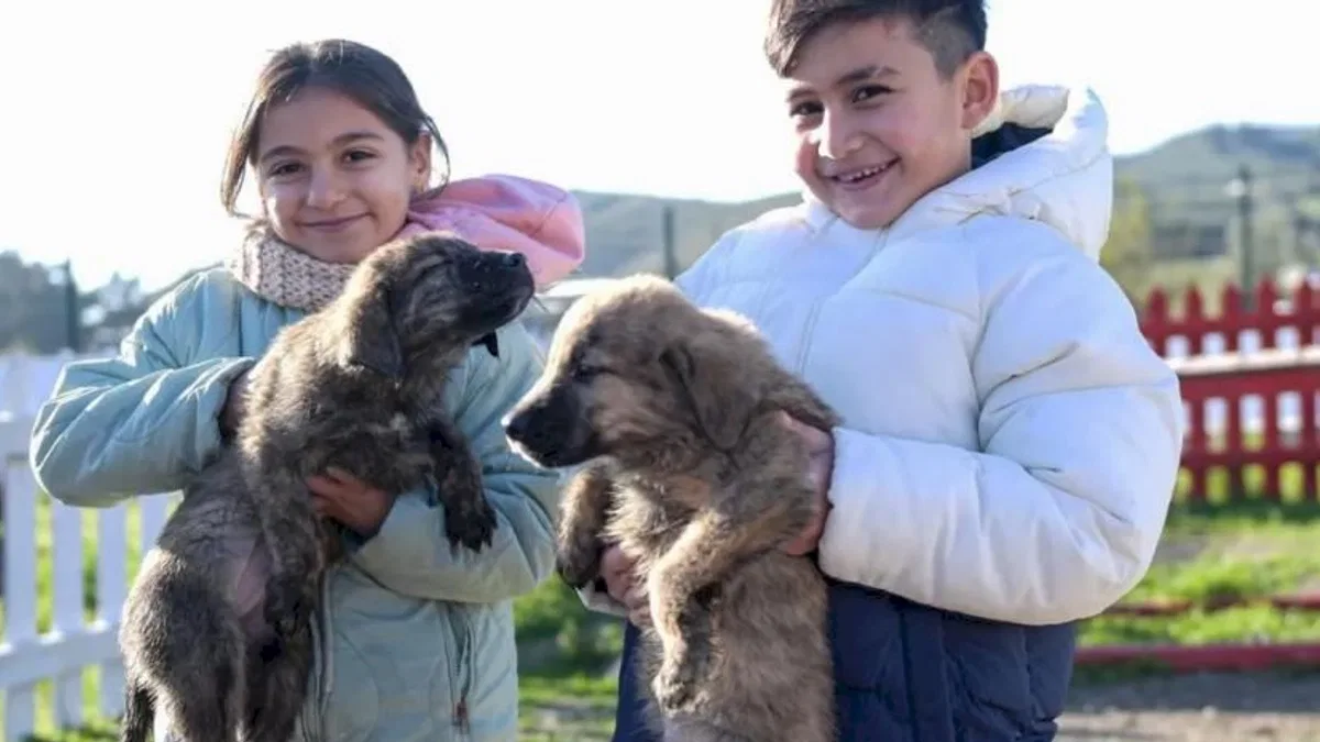Doğa ve patili dostlar İzmir'de şifa dağıtıyor