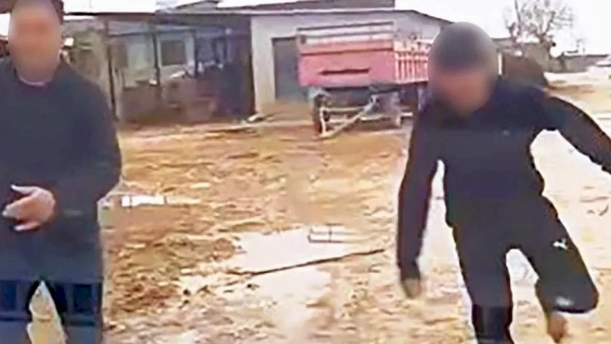 Harran'da kaçak elektriğe müdahale eden ekiplere saldırı