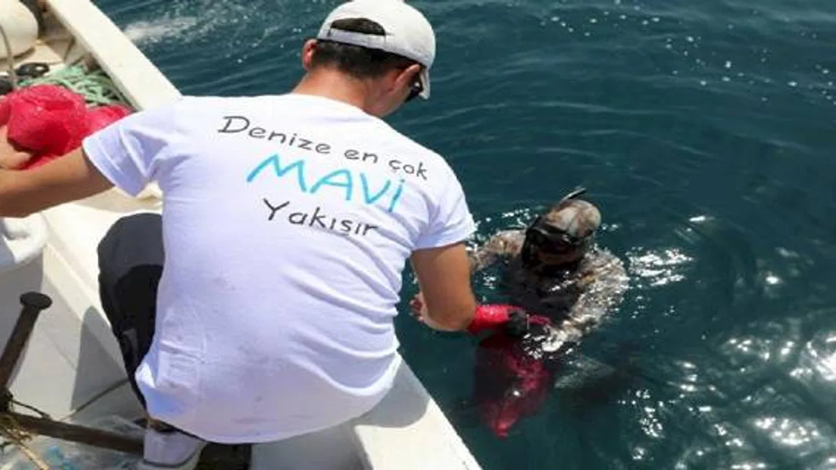 Bodrum'da dip temizliğe devam