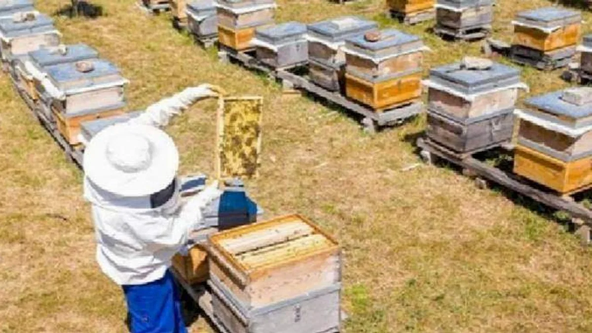 Bursa İnegöl Belediyesi'nden 250 adet 'arı kovanı' desteği