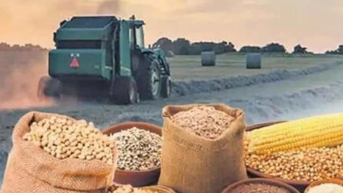 Tarımsal ürün fiyatları ve endekslerde yükseliş