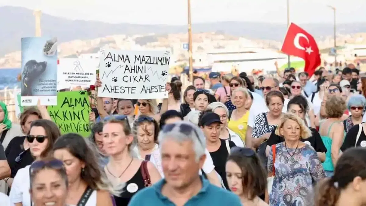 Sahipsiz hayvanlar için sesler Mudanya'dan yükseldi