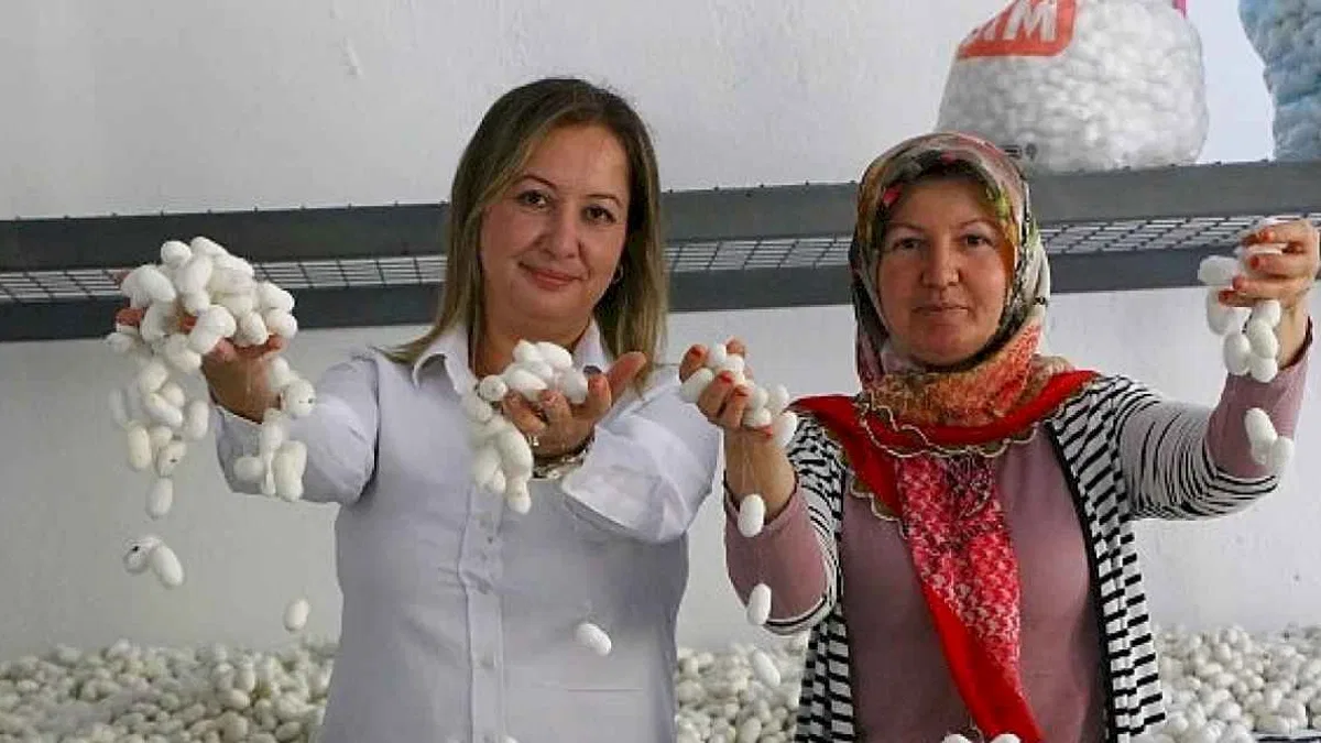 Sapadere İpek Evi'nde eğitim kursları başladı