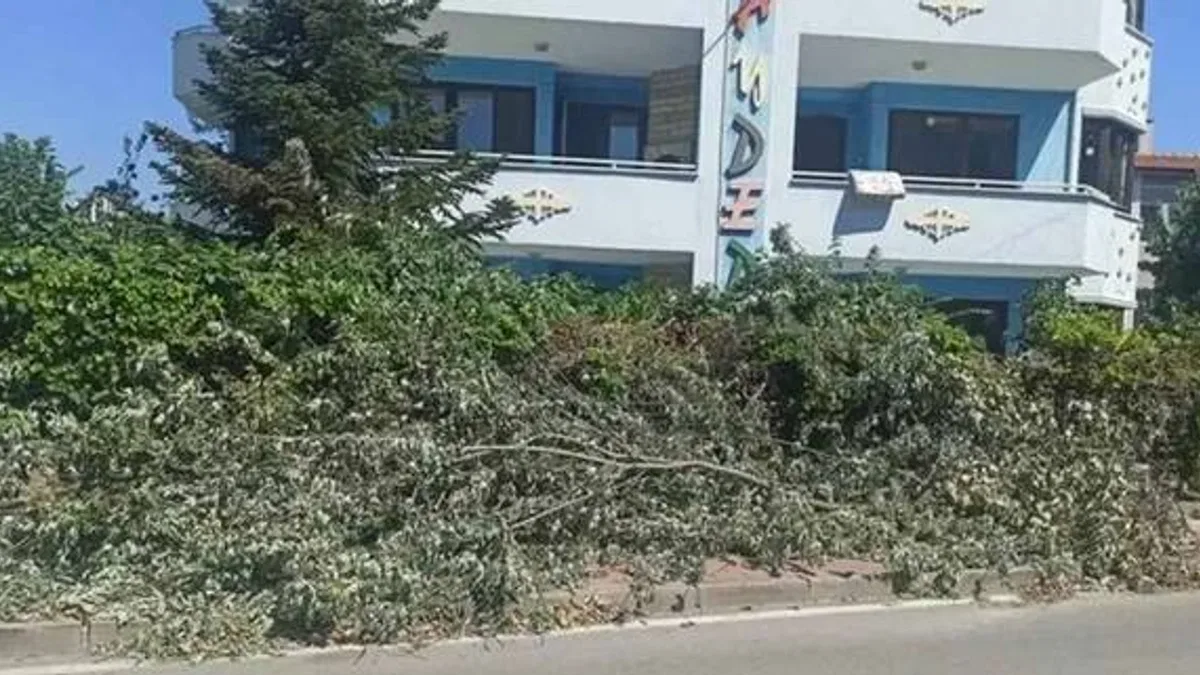 Çamlıca Mahallesi’nde kesilen ağaçlar trafiği engelliyor