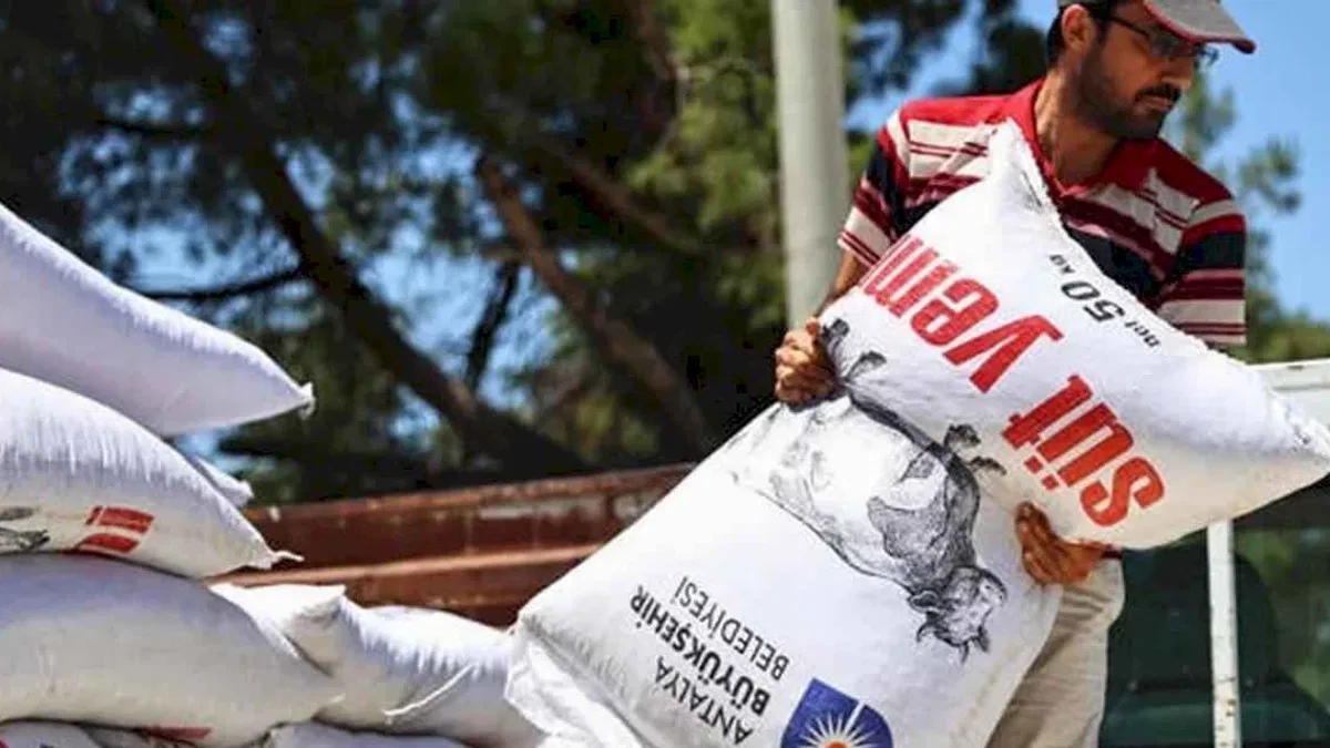 Antalya'da yem desteğiyle süt üretimine güçlü katkı