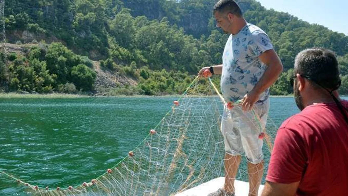 Deniz kaplumbağalarının balıkçılık faaliyetlerinden etkilenmemesi sağlanacak