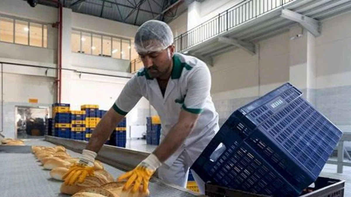 MEGSAŞ sağlıklı ekmekler üretiyor