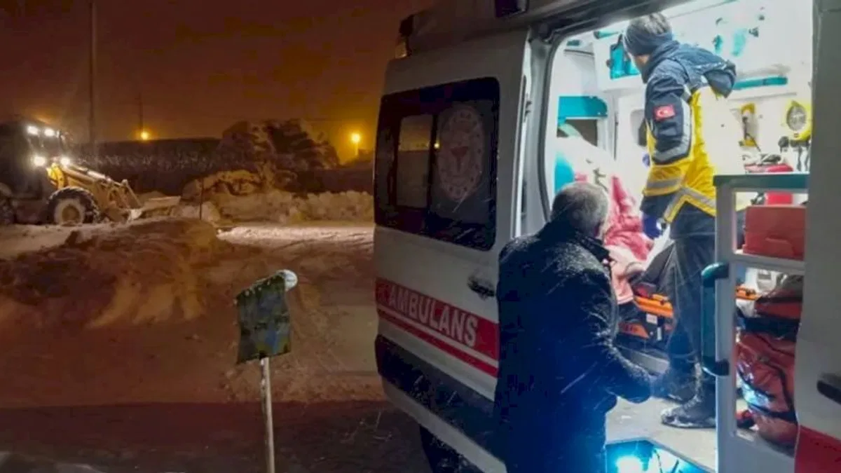 Van'da yaşamı durduran kar afeti