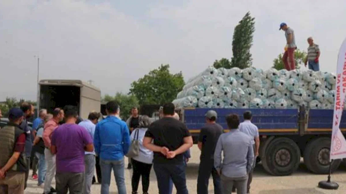 Bursa'da sera örtüleri yenileniyor