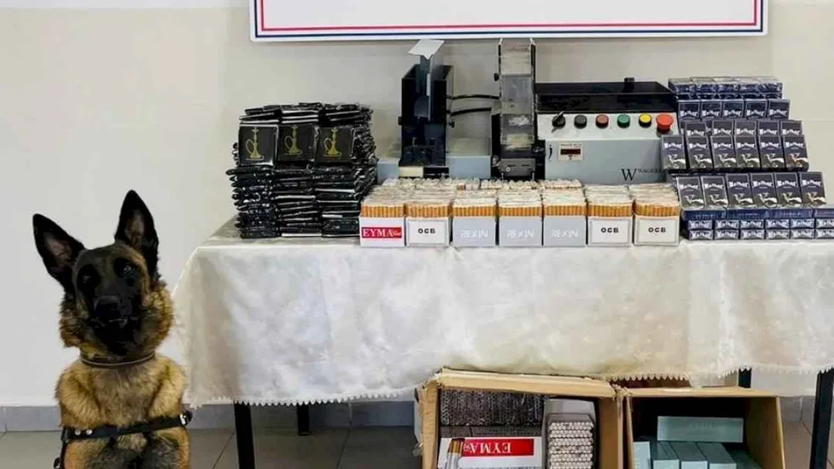 Düzce'de uyuşturucuyla mücadeleye devam