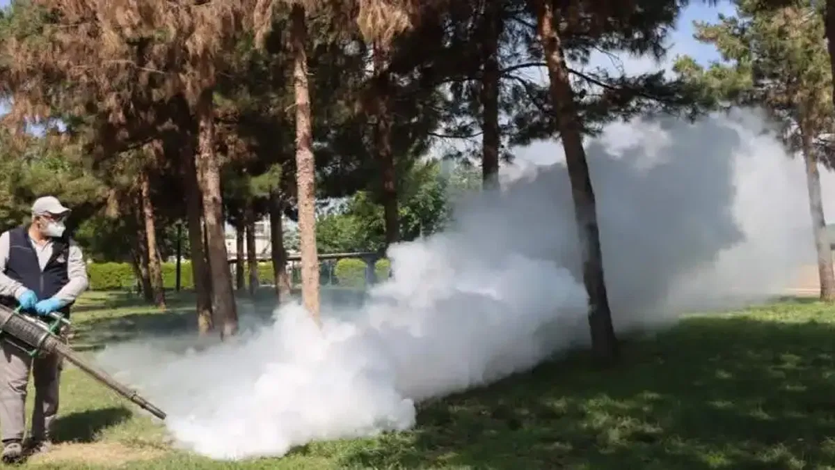 Belediyeden haşereye karşı seferberlik