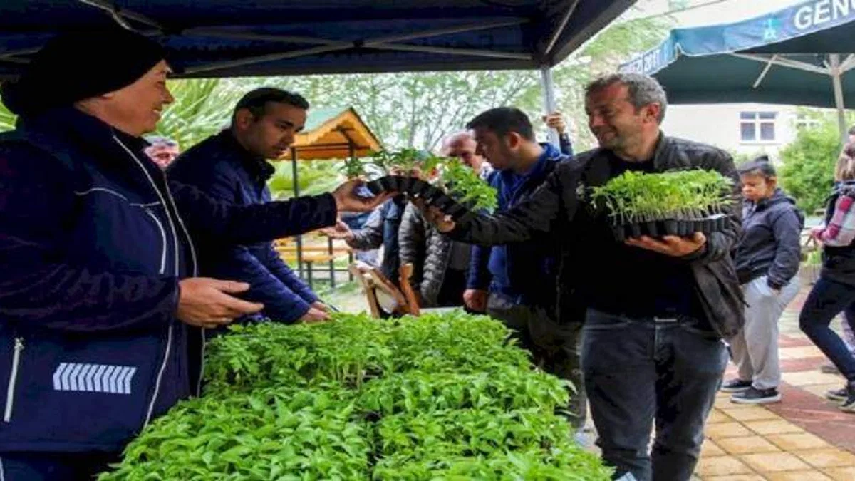 Ücretsiz fideyi alan tarlaya koştu