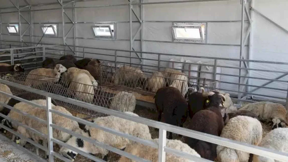 Eskişehir’de hayvan pazarı geçici süreyle kapatıldı