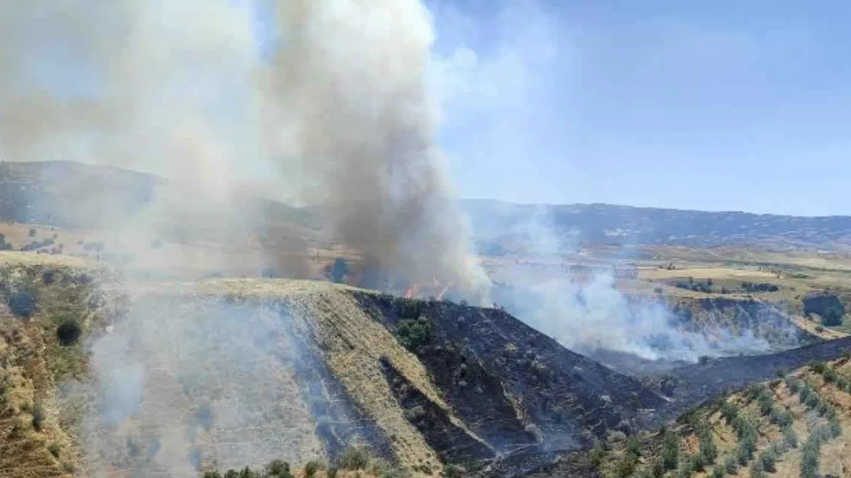 Manisa Alaşehir'de korkutan yangın kontrol altına alındı