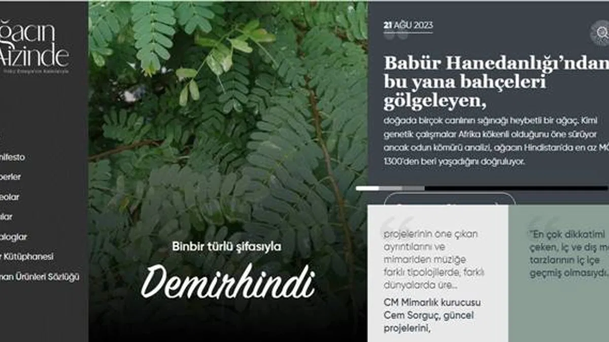 Mimarinin gündelik yaşama etkileri