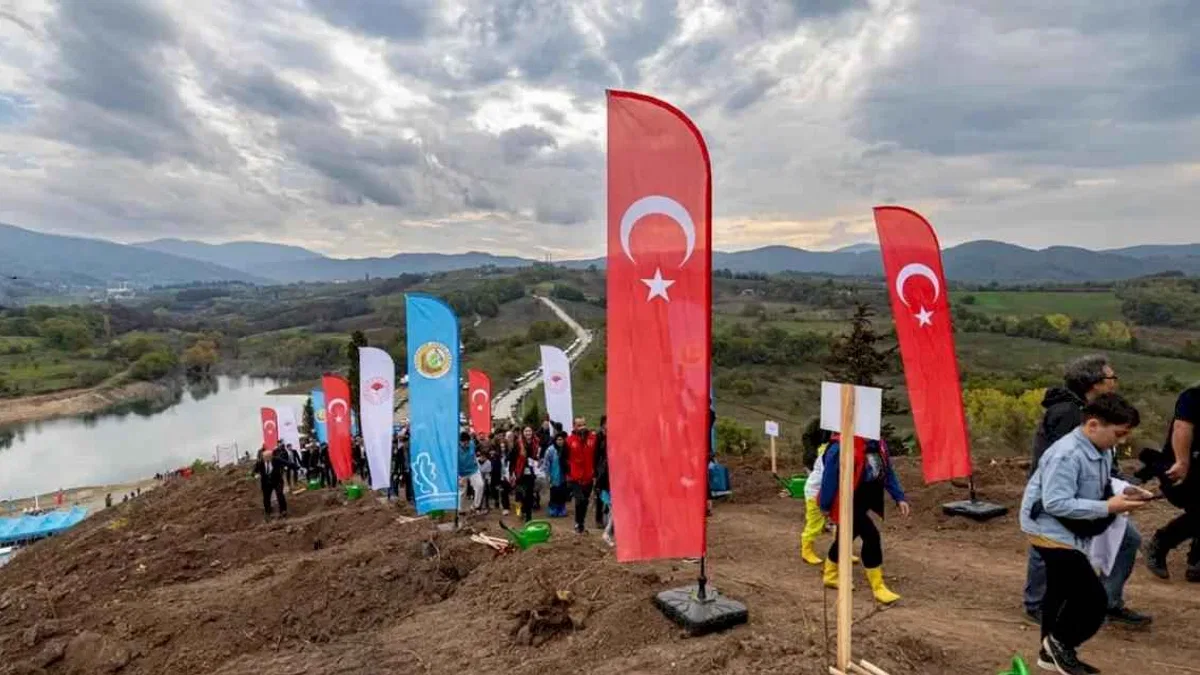 Karamürsel’de yanan bölge 3 bin fidanla yeşerecek