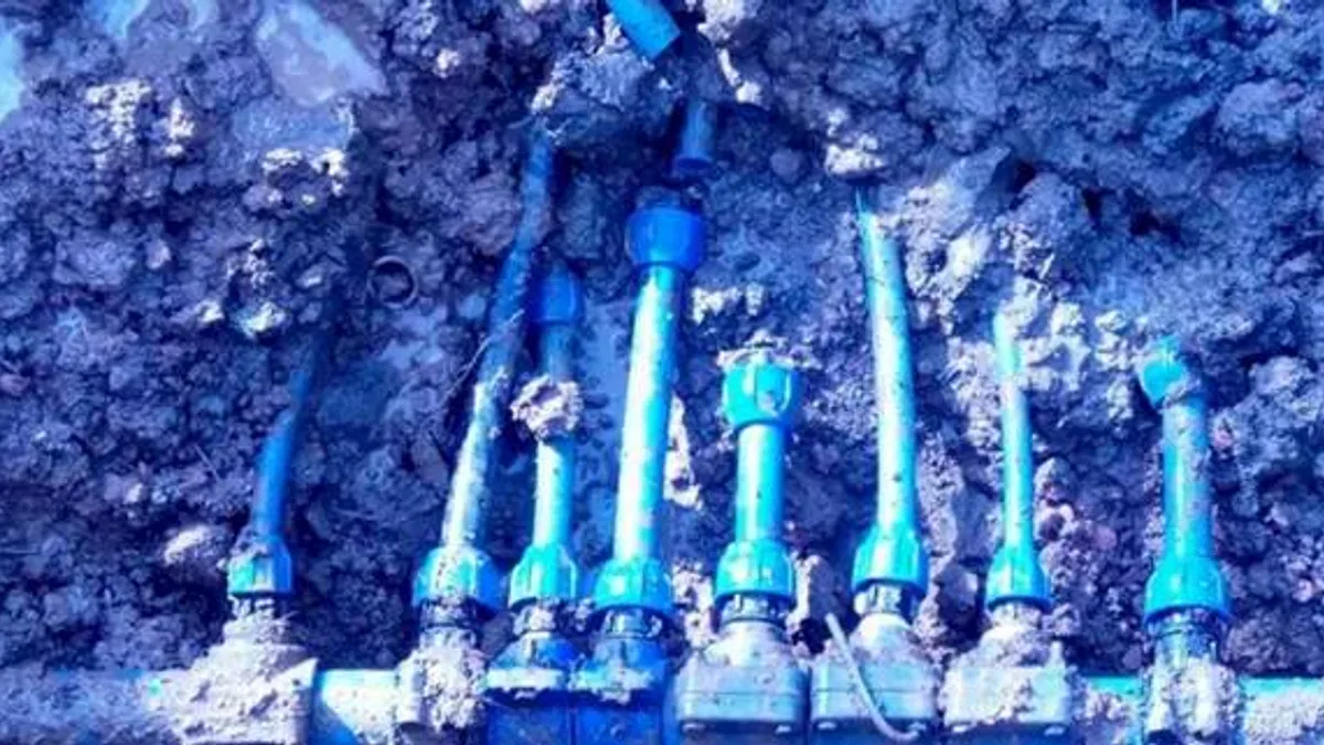 Görenler şok oldu! Şeytanın aklına gelmez