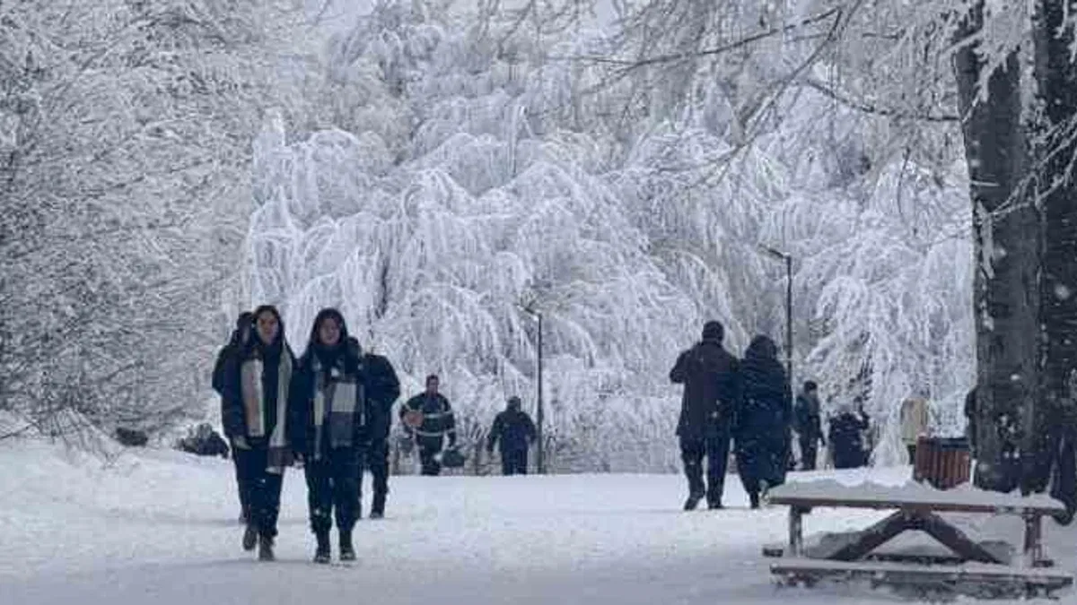 Kocaeli Ormanya, 2025’te de doldu taştı