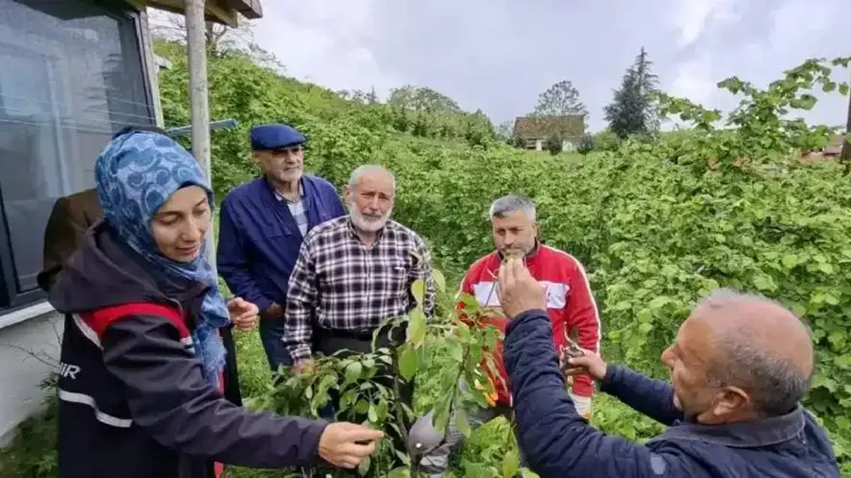 Büyükşehirin aşı 'Ordu'su büyüyor