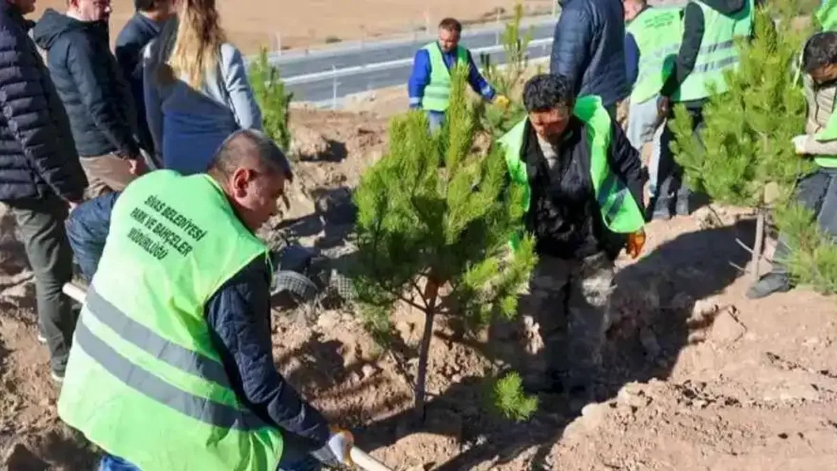 Sivas'ta mevsimlik işçiler adına hatıra ormanı