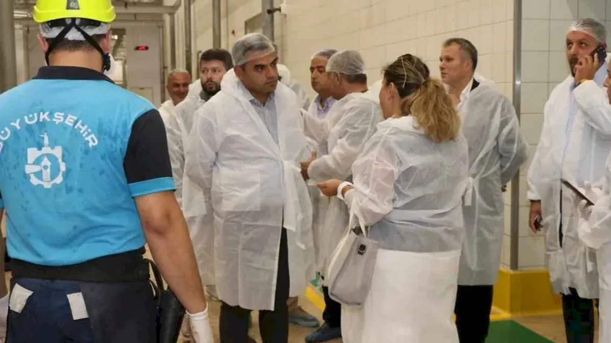 Kocaeli Büyükşehir Mezbahası'nda 6 bin 832 kesim yapıldı