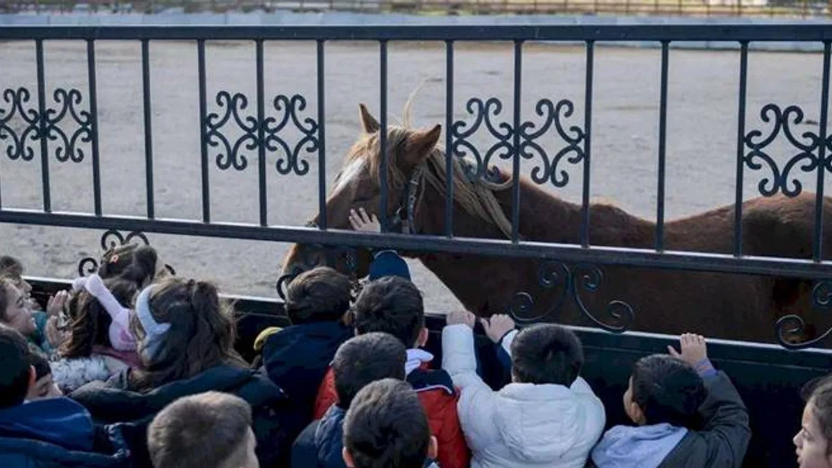 İzmirli çocuklara hayvan sevgisi kazandırılıyor