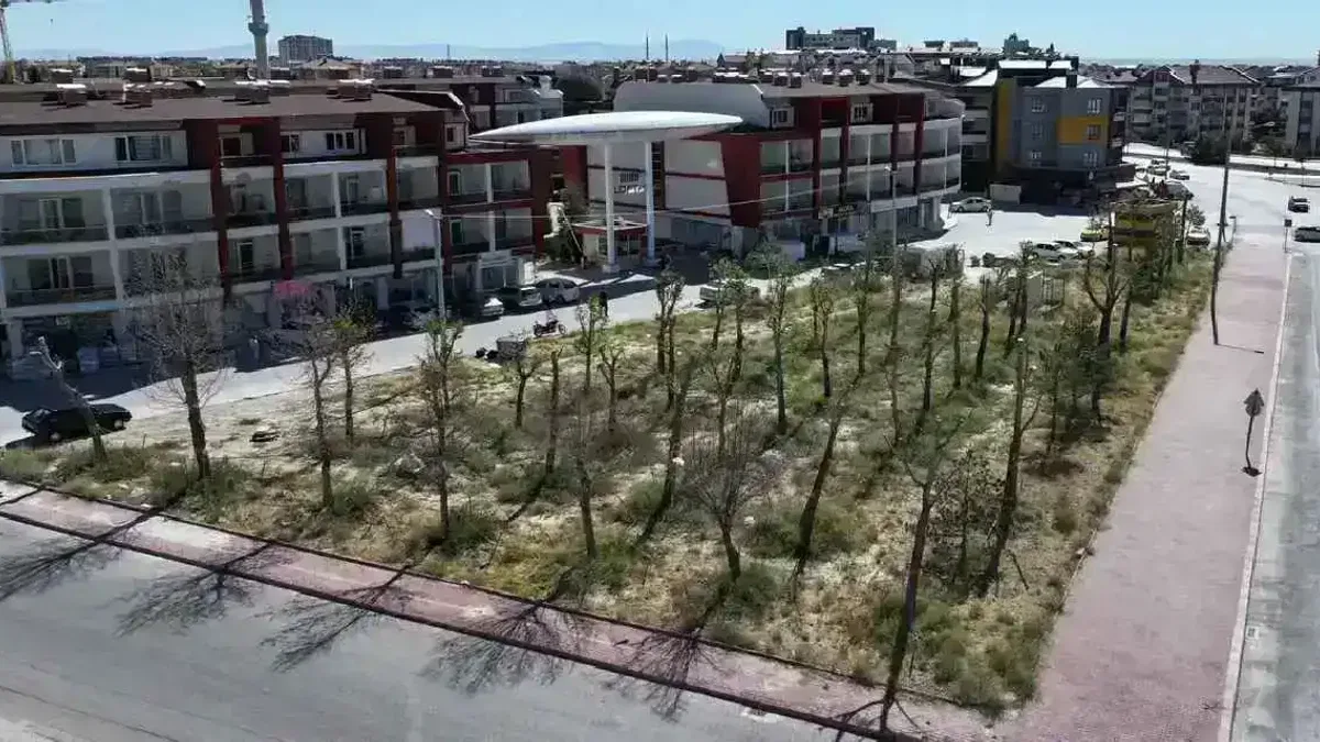 Konya raylı sistem dolayısıyla kaldırdığı ağaçları yeniden toprakla buluşturuyor