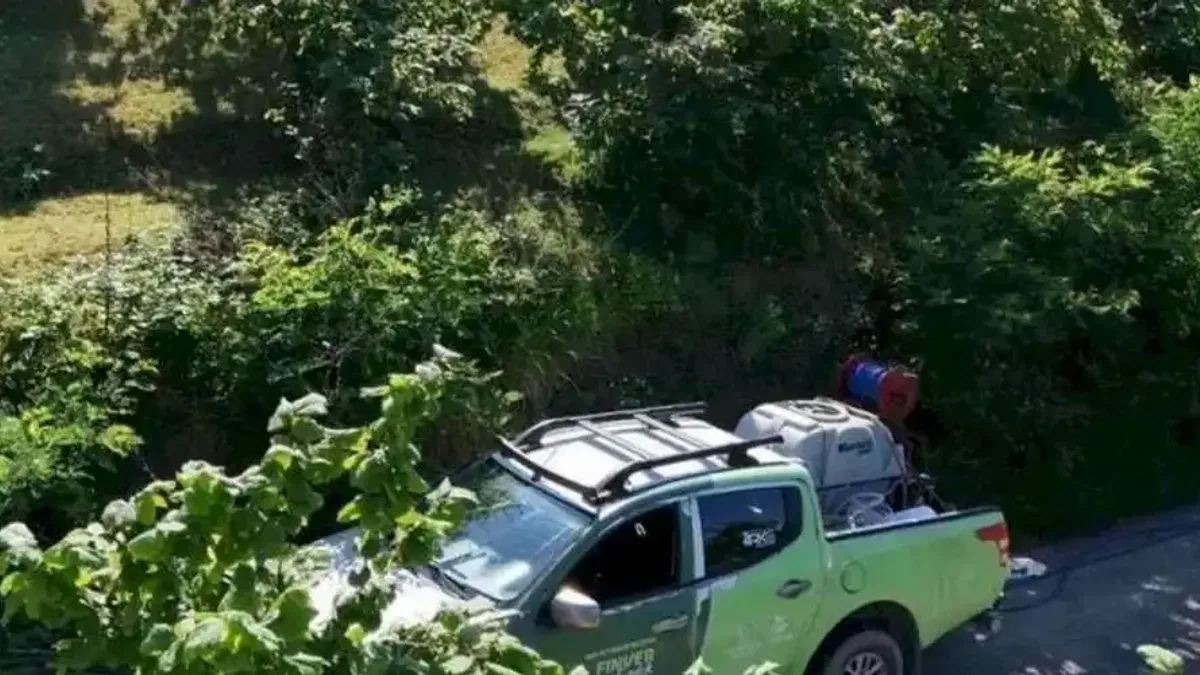 Kahverengi kokarca FINVER bahçelerinde takip altında