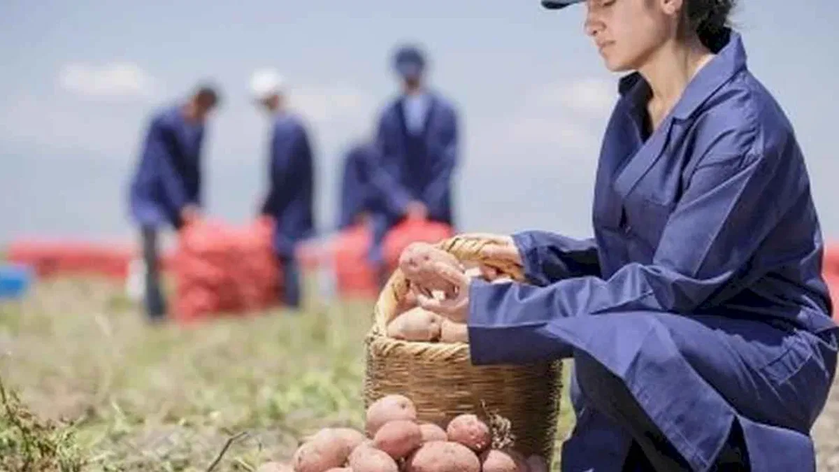 Yenileyici tarımda büyük başarı