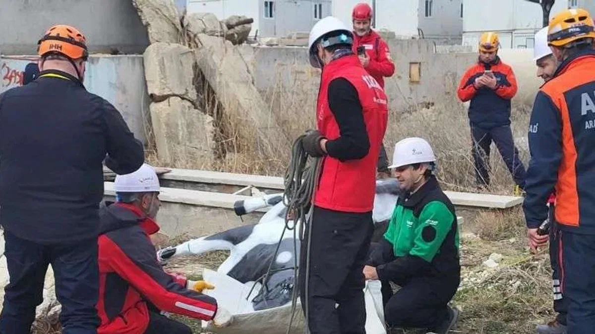 AFAD’dan hayvan koruma projesi