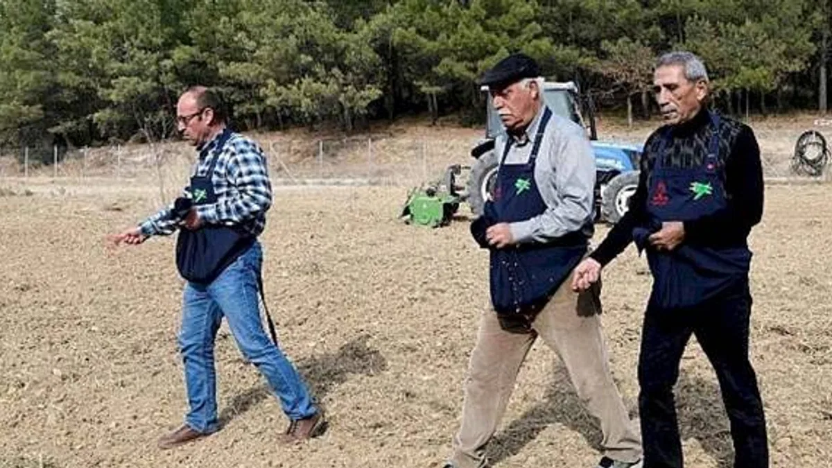 Üreticiye destek için buğday ekimi yapıldı