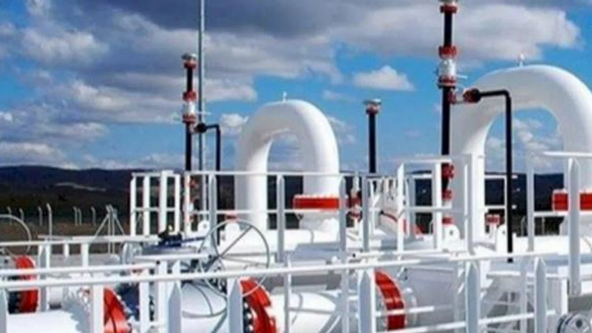 EPDK'dan 3 gaz dağıtım şirketine kayyum