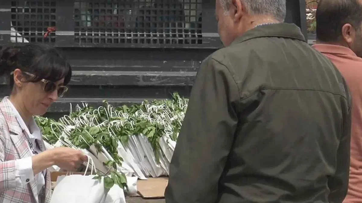Malatya’da vatandaşlara ücretsiz fide dağıtıldı