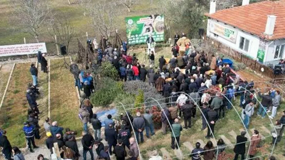 Muğla'da üreticilere fidan dağıtımına başladı
