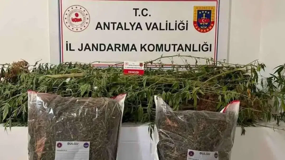 Alanya'da uyuşturucuya geçit yok!