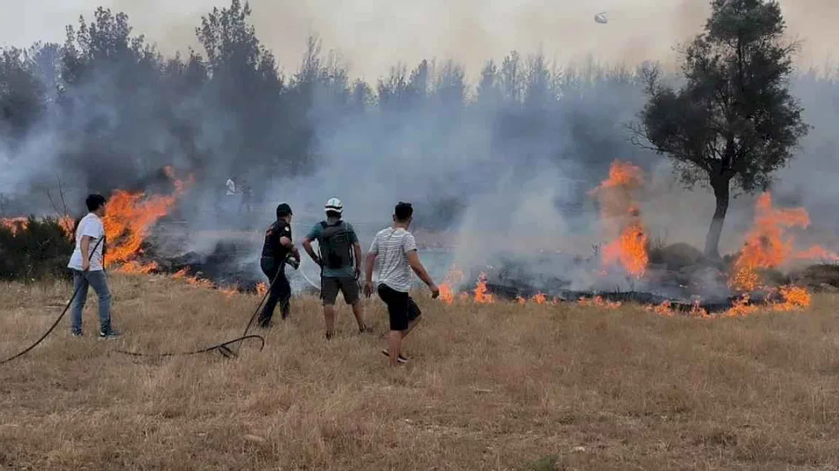 Muğla Büyükşehir ekipleri 6 Ayda 380 anız yangınına müdahale etti