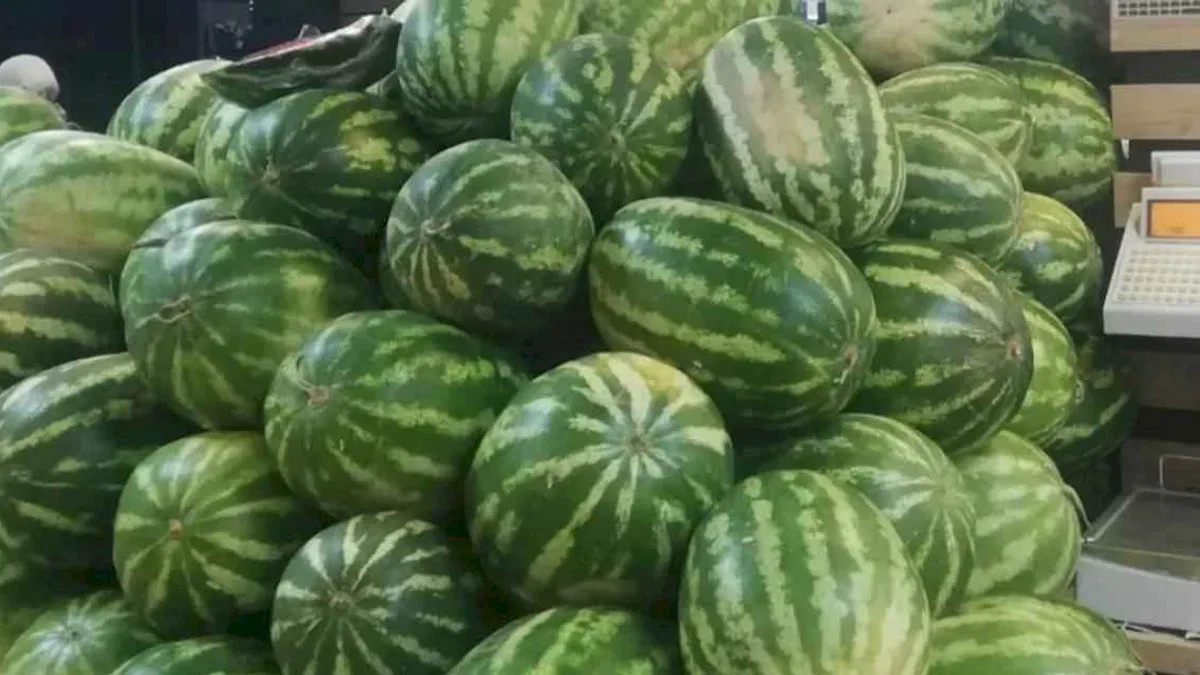 Karpuzda üretici-market farkı yüzde 613,8... Üreticide 1,18, markette 8,42 TL!
