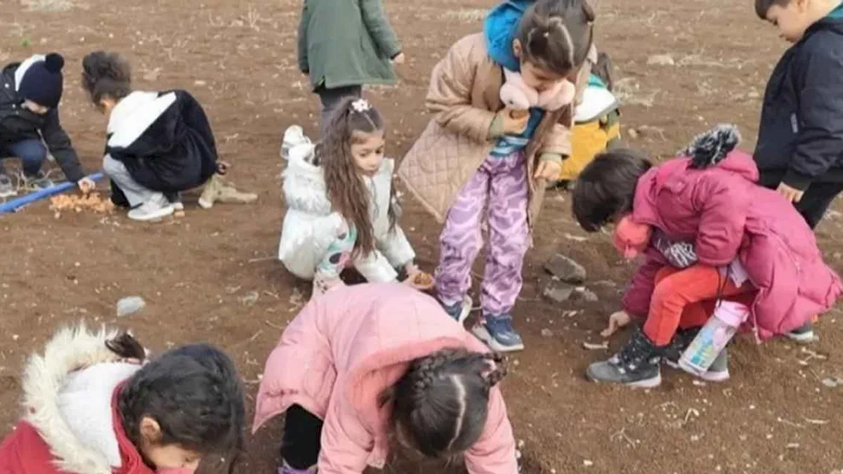 Diyarbakırlı çocuklar meşe tohumlarını toprakla buluşturdu