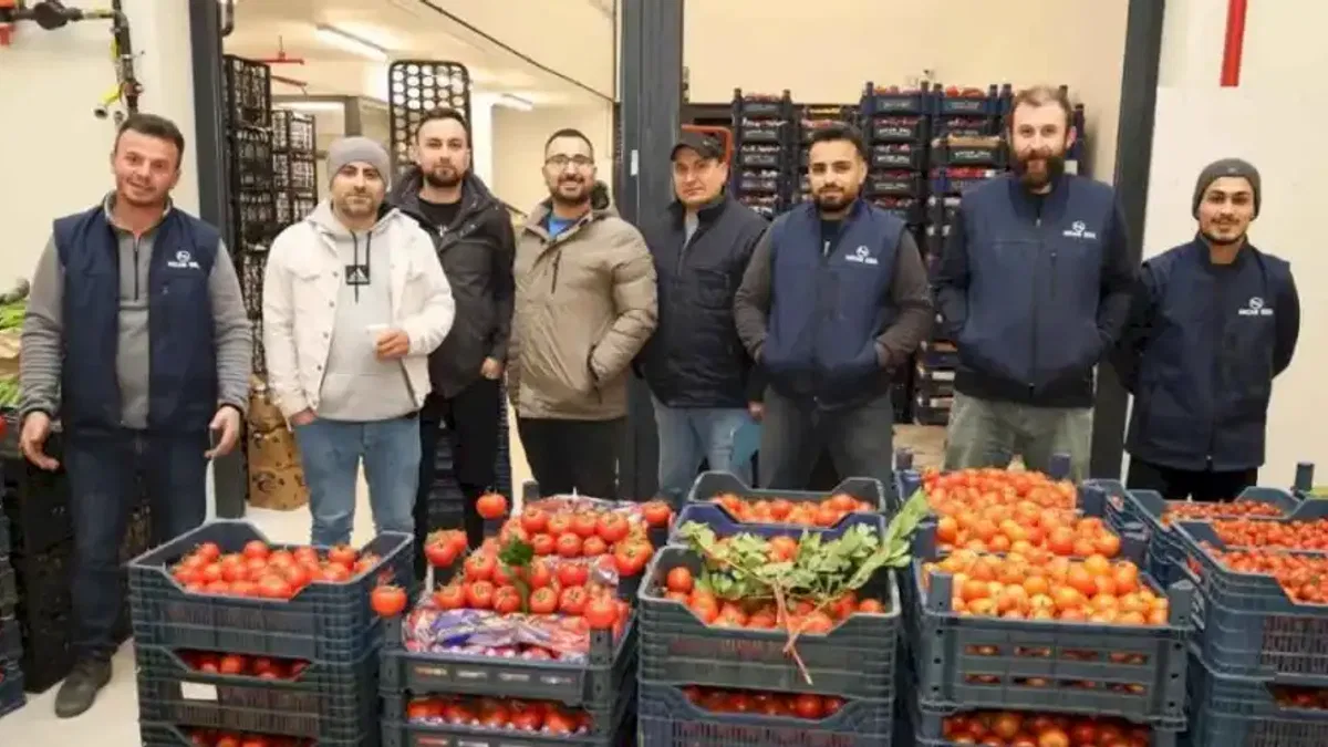 Gebze'de Batı Sebze Meyve Hali faaliyette