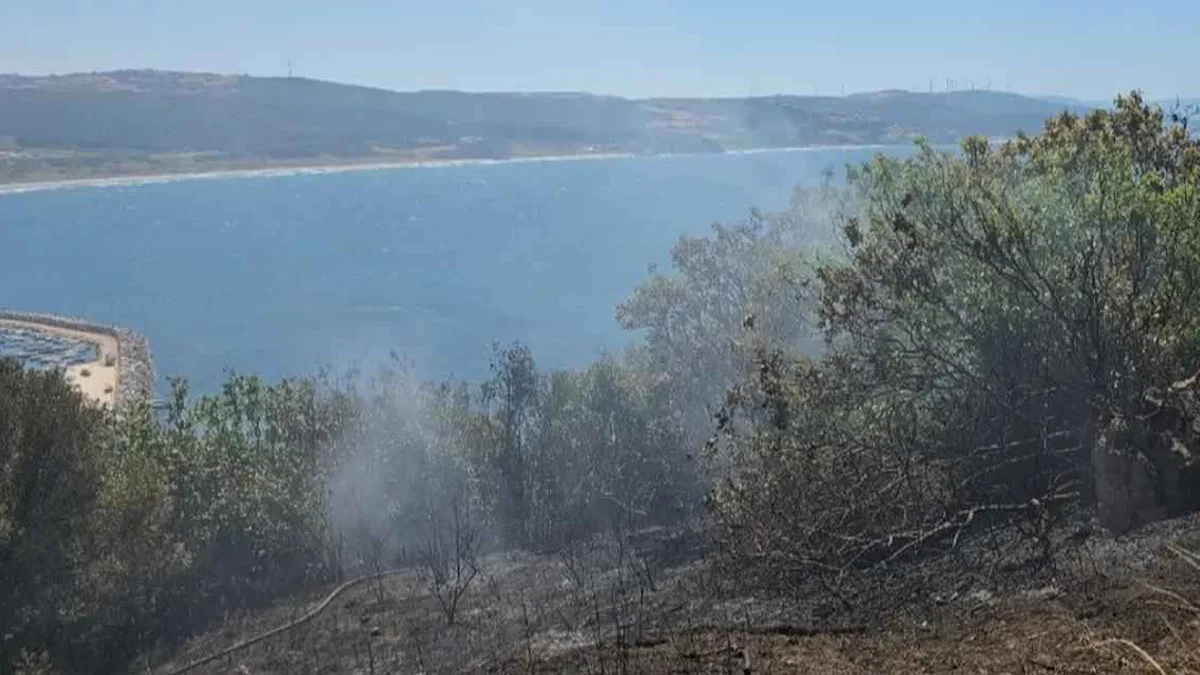 Mudanya kırsalında yangın! Buğday tarlası son anda kurtarıldı