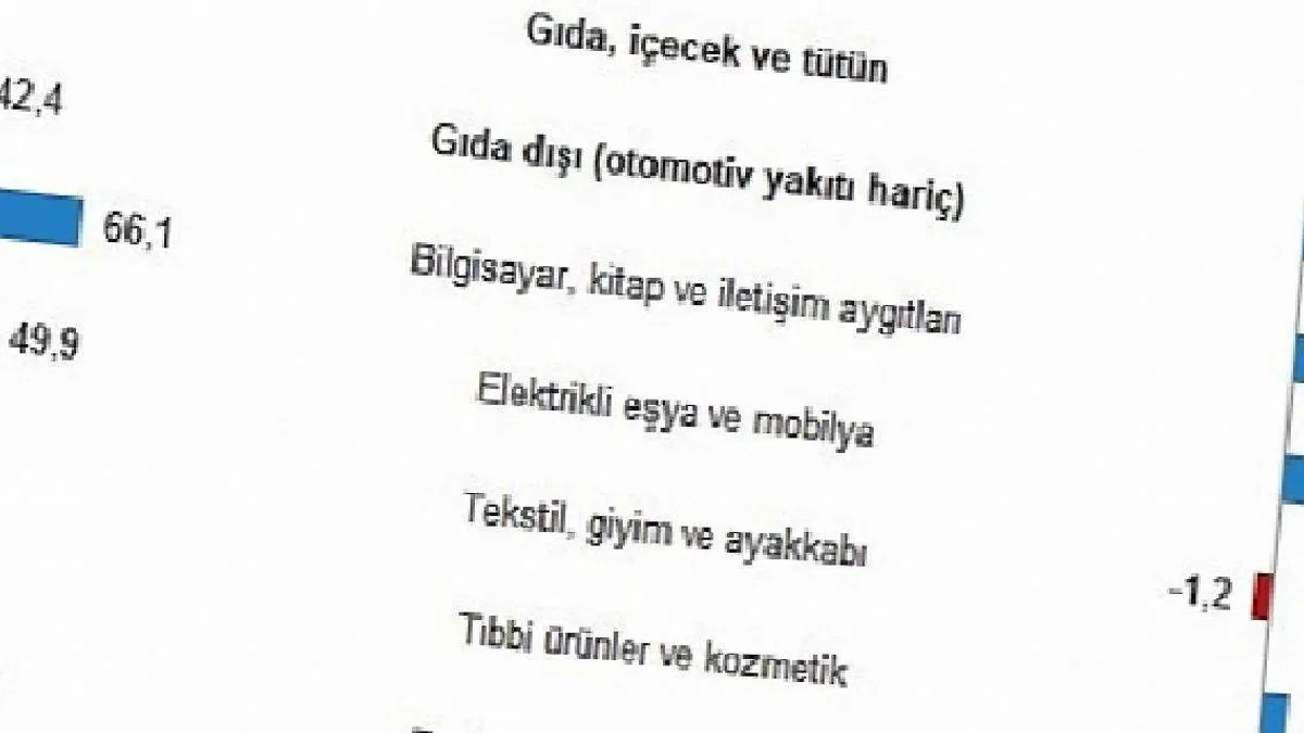 TÜİK: Perakende Satış Endekslerini Açıkladı