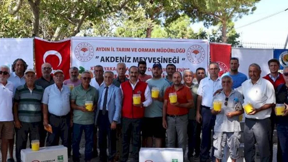 Aydınlı üreticilere Akdeniz Meyve Sineği Tuzağı dağıttı