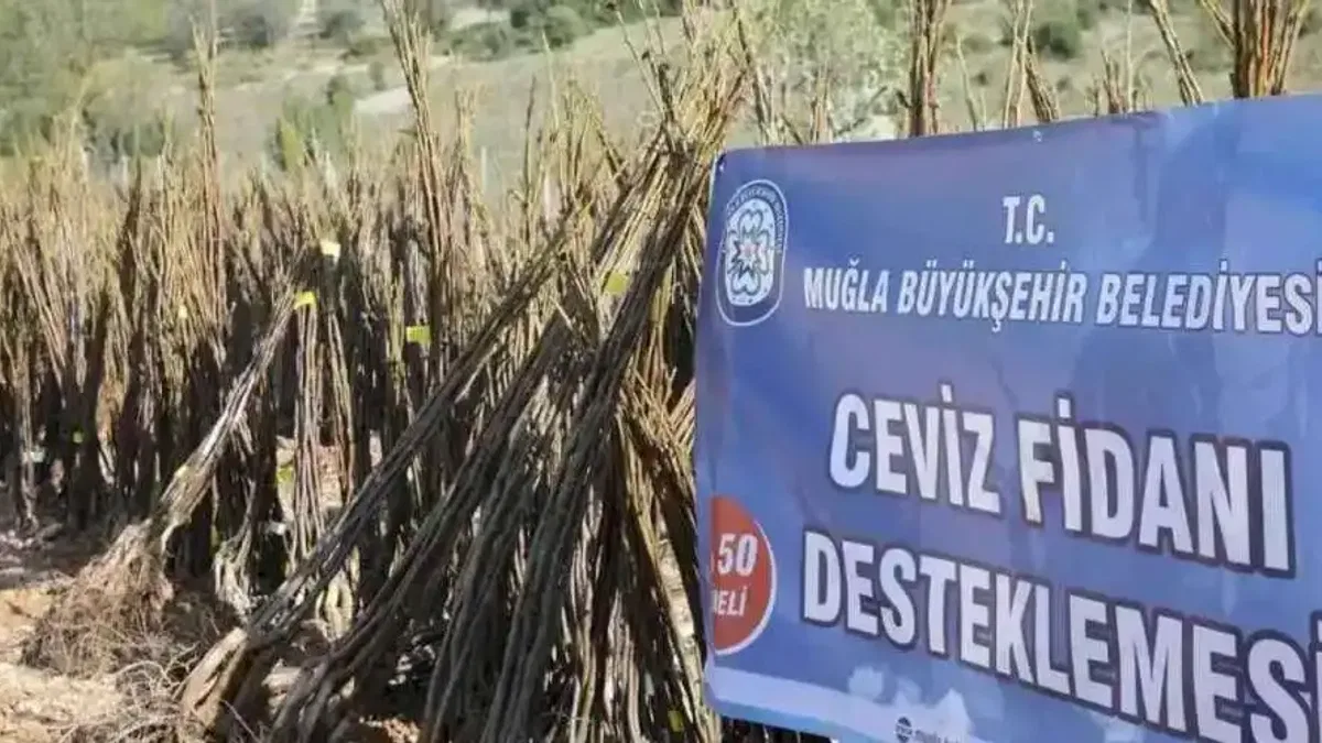Muğla'da her kapıda bir fidan!