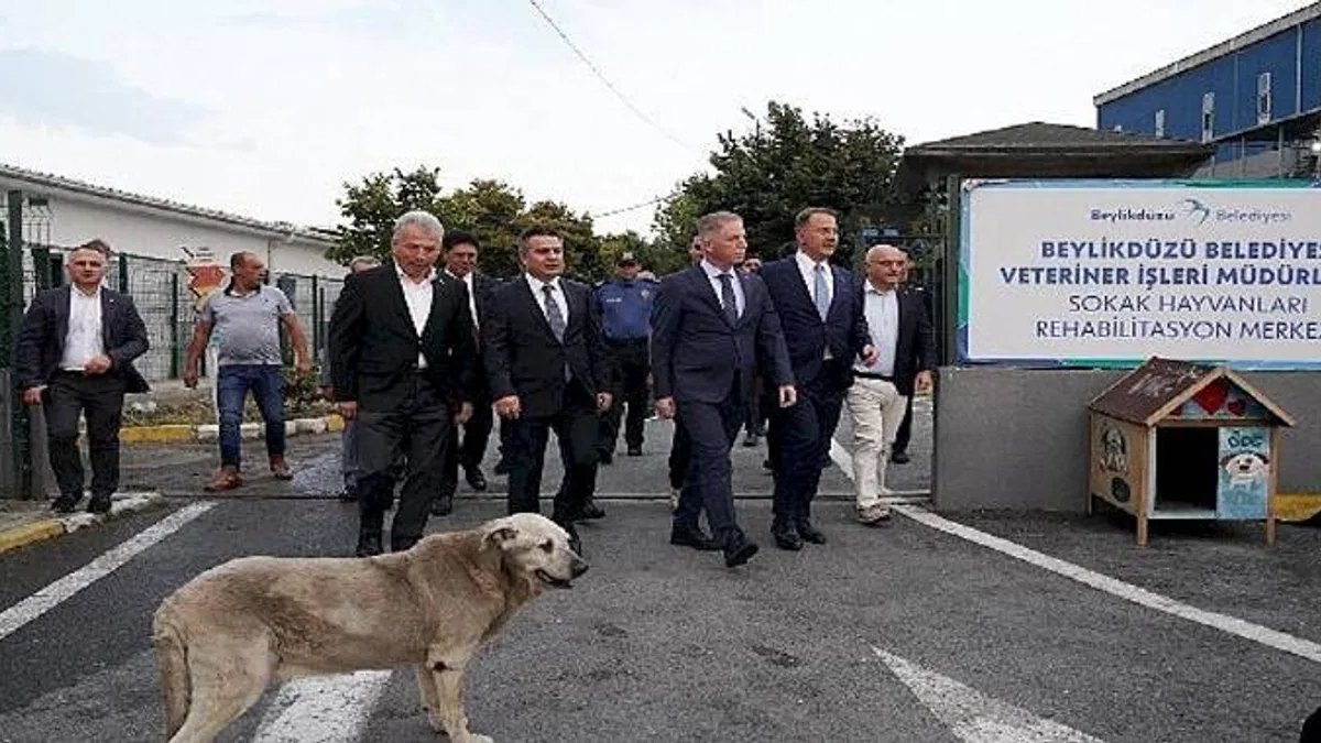İstanbul Valisi Davut Gül Beylikdüzü'nde İncelemelerde Bulundu