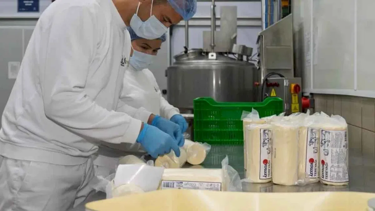 İzmir'de Süt Fabrikası’nda çarklar döndü, üreticinin yüzü güldü