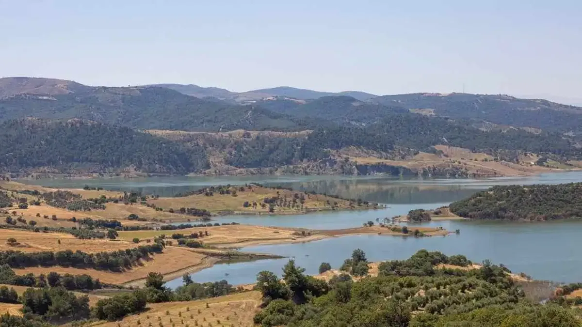 İzmir ve Manisa'dan dev çevre iş birliği... Gördes'e 2 bin dönümlük bal ormanı geliyor
