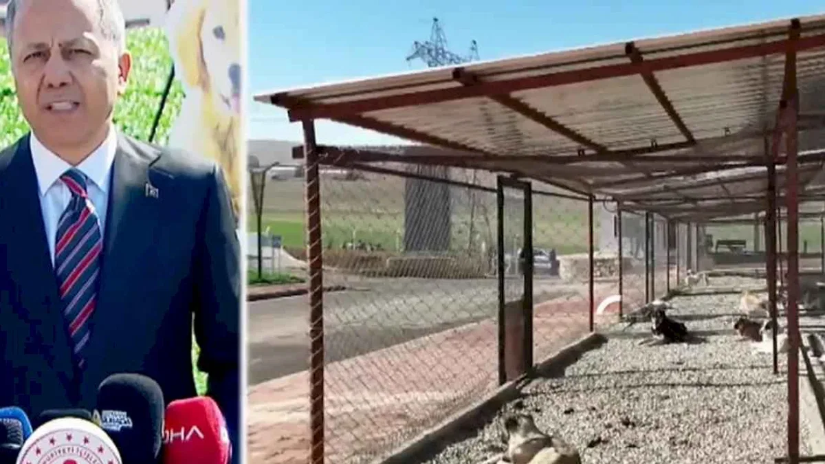 Bakan Yerlikaya sahipsiz hayvanlarla ilgili Batman'dan açıklama yapıyor