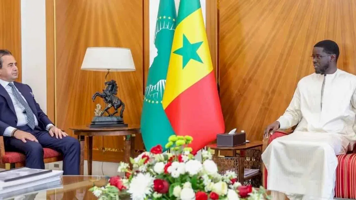 Türk iş adamının Senegal'de üst düzey işbirliği adımı