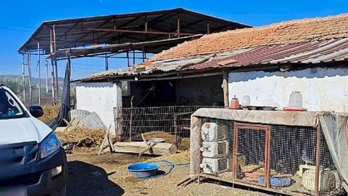 Büyükşehir'den 'Mavi Dil' Hastalığına Karşı Mücadele